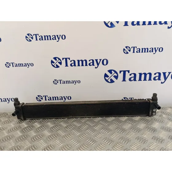 Radiador Agua para Toyota Prius (Nhw30)