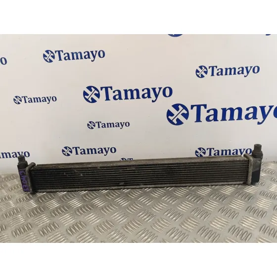 Radiador Agua para Toyota Prius (Nhw30)