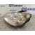 Faro Izquierdo para Ford Focus C-Max (Cap)