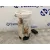 Aforador para Seat Ibiza (6L1)