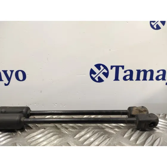 Amortiguadores Maletero / Porton para Hyundai I30 Fastback