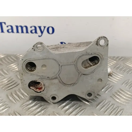 Enfriador Aceite Motor para Volkswagen Passat Variant (3C5)