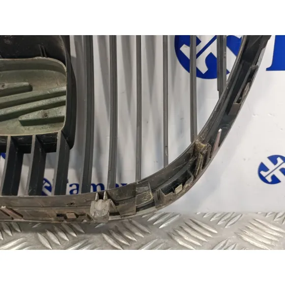 Rejilla Delantera para Seat Altea (5P1)