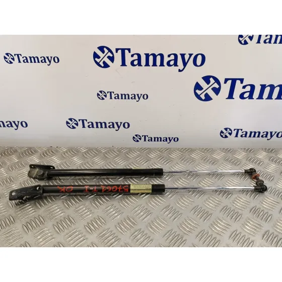 Amortiguadores Maletero / Porton para Subaru Impreza G12