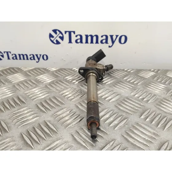 Inyector para Peugeot Expert Tepee