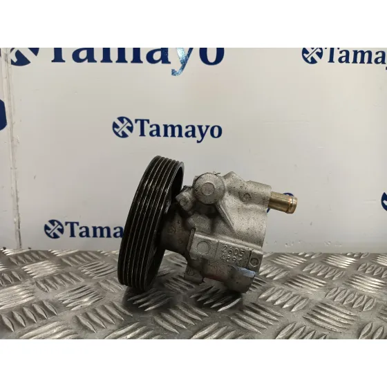 Bomba Direccion para Renault Trafic Combi (Ab 4.01)