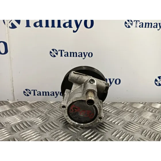 Bomba Direccion para Renault Trafic Combi (Ab 4.01)