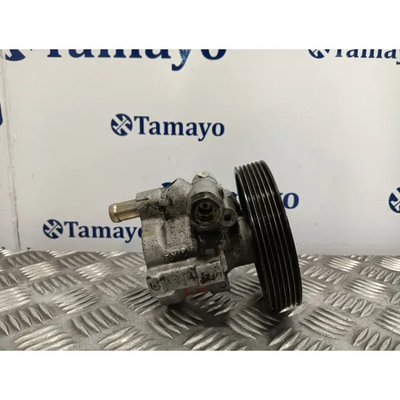 Bomba Direccion para Renault Trafic Combi (Ab 4.01)