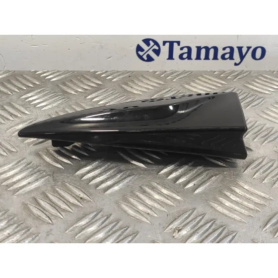 Moldura para Renault Clio Iv