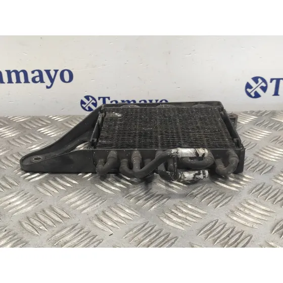Enfriador Gasoil para Audi A3 (8P)