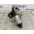 Motor Limpia Trasero para Volkswagen Passat Variant (3C5)