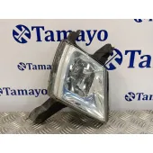 Faro Antiniebla Derecho para Peugeot 407
