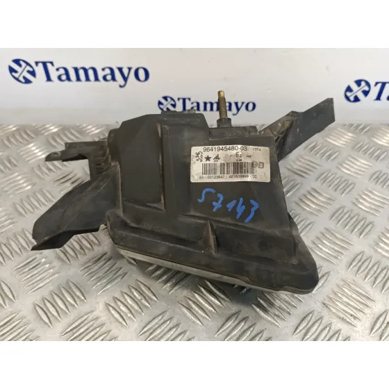 Faro Antiniebla Derecho para Peugeot 407