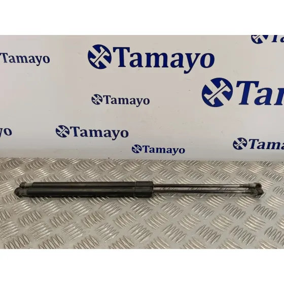 Amortiguador Trasero para Nissan Qashqai (J10)
