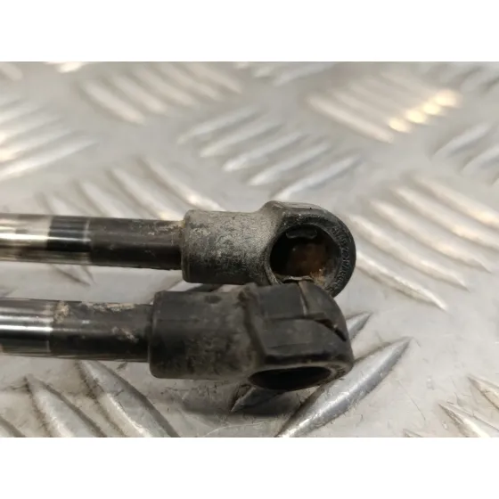 Amortiguador Trasero para Nissan Qashqai (J10)