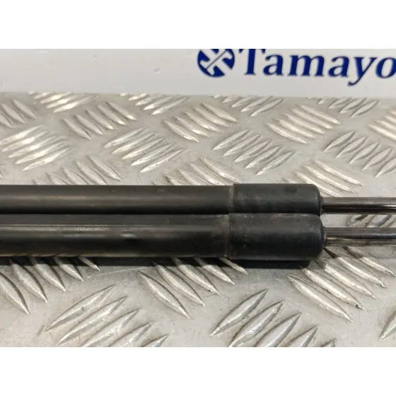 Amortiguador Trasero para Nissan Qashqai (J10)