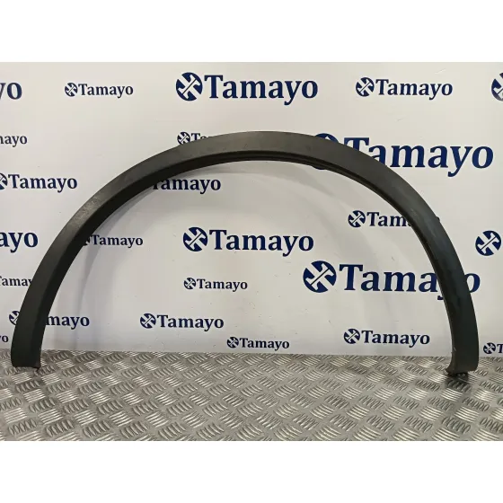 Aletin Trasero Izquierdo para Nissan Qashqai (J10)