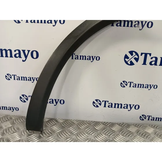 Aletin Trasero Izquierdo para Nissan Qashqai (J10)