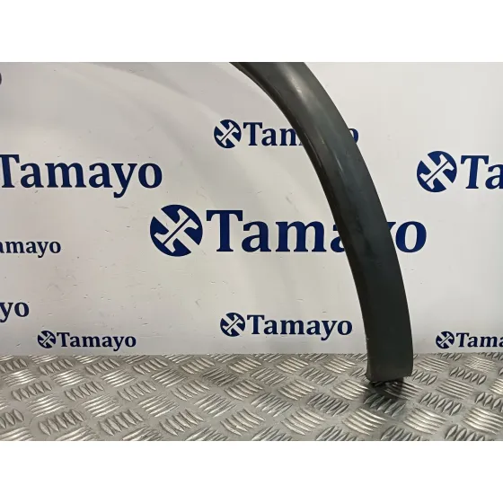 Aletin Trasero Izquierdo para Nissan Qashqai (J10)