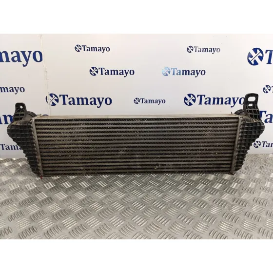 Intercooler para Volkswagen T5 Transporter (7E)