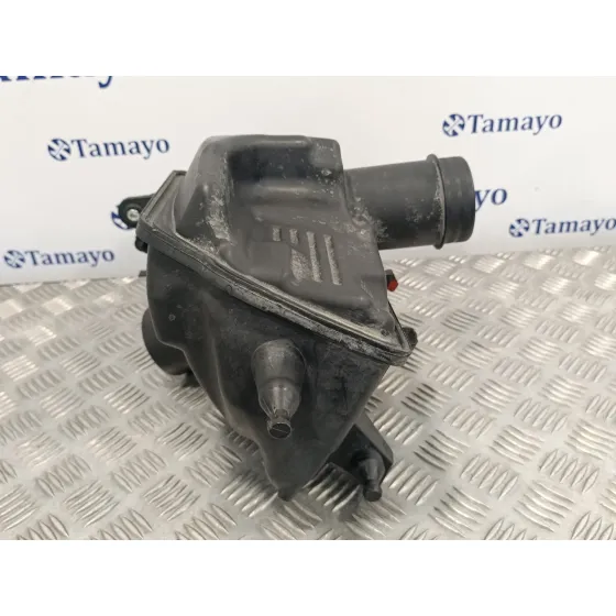 Carcasa Filtro Aire para Nissan Qashqai (J10)