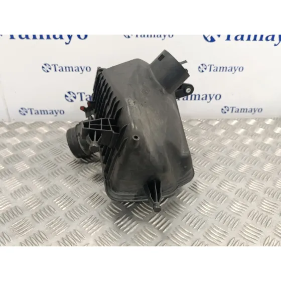 Carcasa Filtro Aire para Nissan Qashqai (J10)