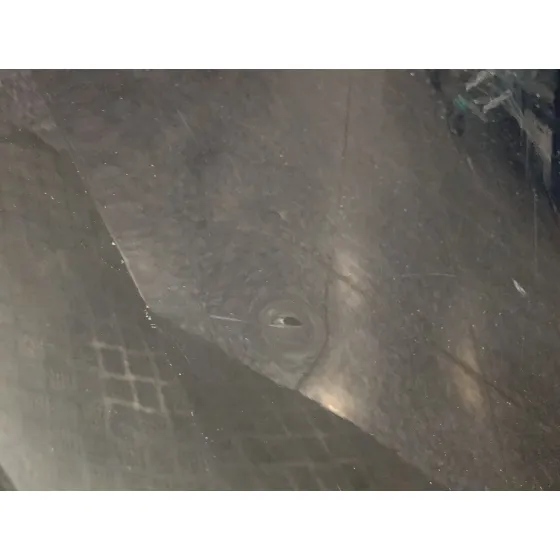 Puerta Trasera Izquierda para Seat Ibiza (6J5)