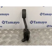 Pedal Acelerador para Ford Fiesta (Cb1)
