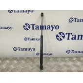 Amortiguadores Capo para Volkswagen T5 Transporter (7E)
