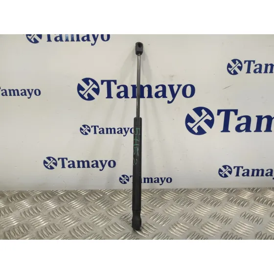 Amortiguadores Capo para Volkswagen T5 Transporter (7E)