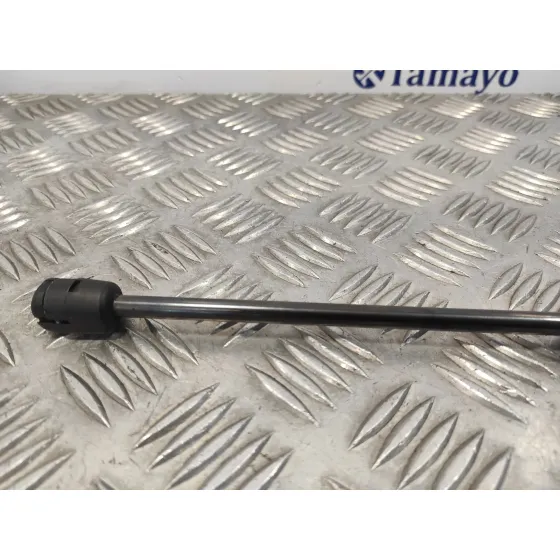 Amortiguadores Capo para Volkswagen T5 Transporter (7E)