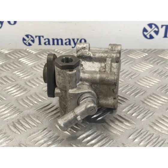 Bomba Direccion para Fiat Doblo (119)