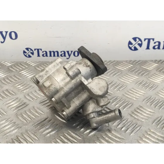 Bomba Direccion para Fiat Doblo (119)