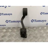 Pedal Acelerador para Citroën C4 Grand Picasso