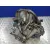 Caja Cambios para Renault Megane Ii Berlina 3P