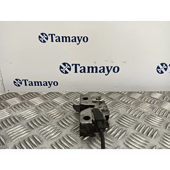 Cerradura Capot para Seat Toledo (Kg3)
