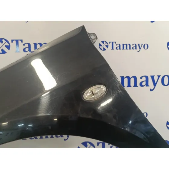 Aleta Delantera Izquierda para Peugeot 307 Break/Sw (S2)