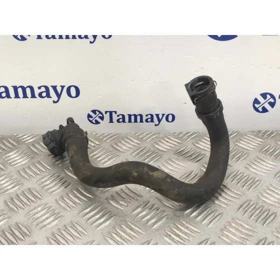 Tubo para Peugeot 308