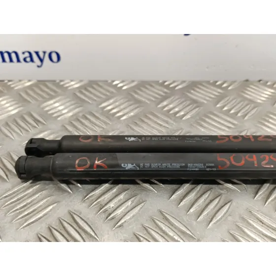 Amortiguadores Maletero / Porton para Citroën C3 Picasso