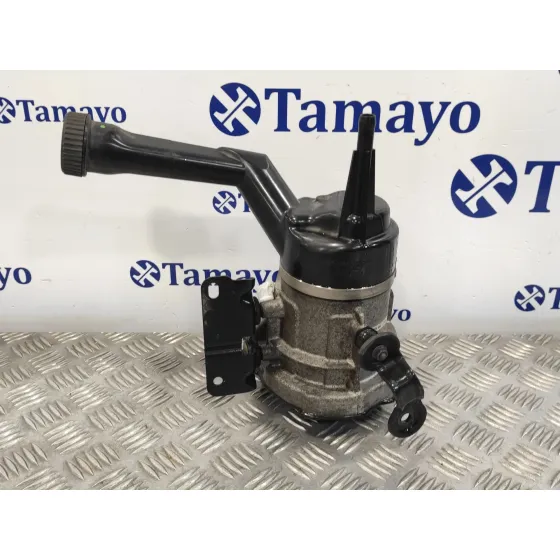 Bomba Direccion para Peugeot 308 Sw
