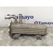 Enfriador Egr para Volkswagen Golf V Berlina (1K1)