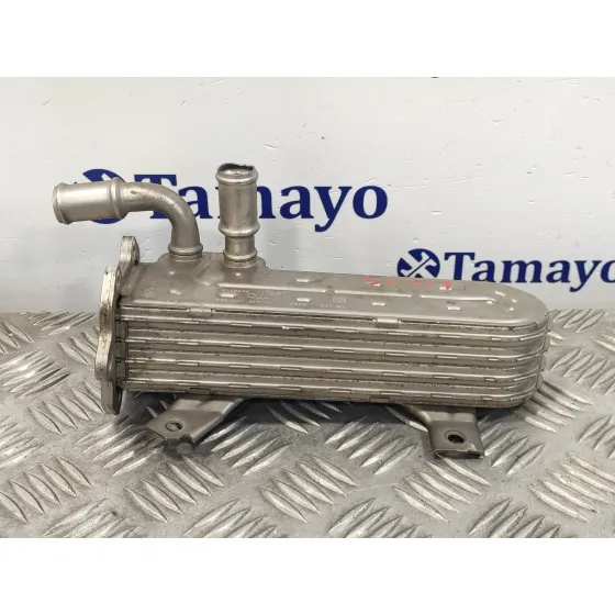 Enfriador Egr para Volkswagen Golf V Berlina (1K1)