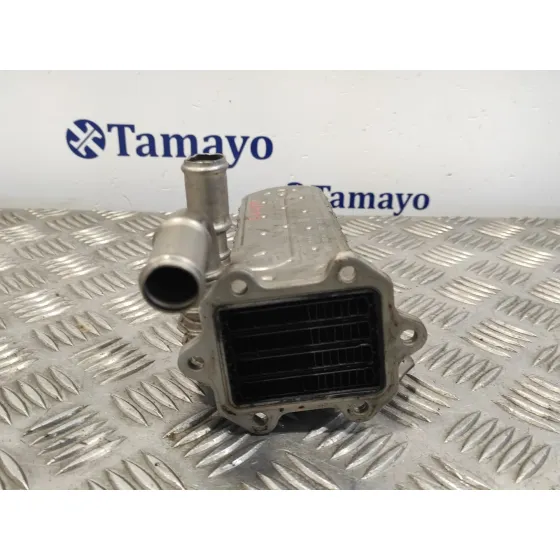 Enfriador Egr para Volkswagen Golf V Berlina (1K1)