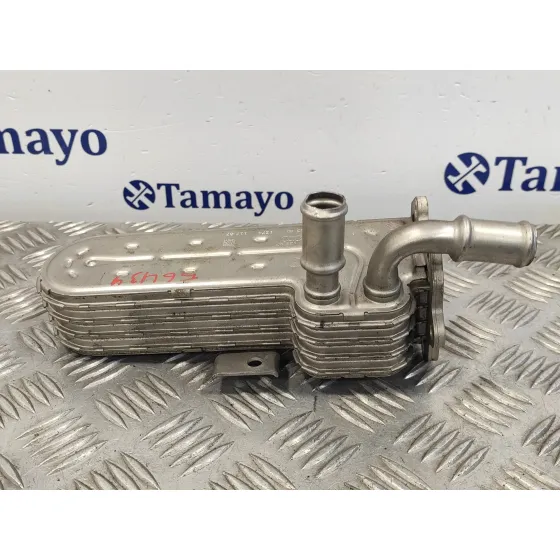 Enfriador Egr para Volkswagen Golf V Berlina (1K1)