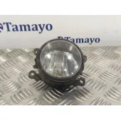 Faro Antiniebla Derecho para Citroën Xsara Picasso