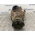 Diferencial Delantero para Bmw X5 (E53)