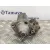 Motor Arranque para Bmw X5 (E53)