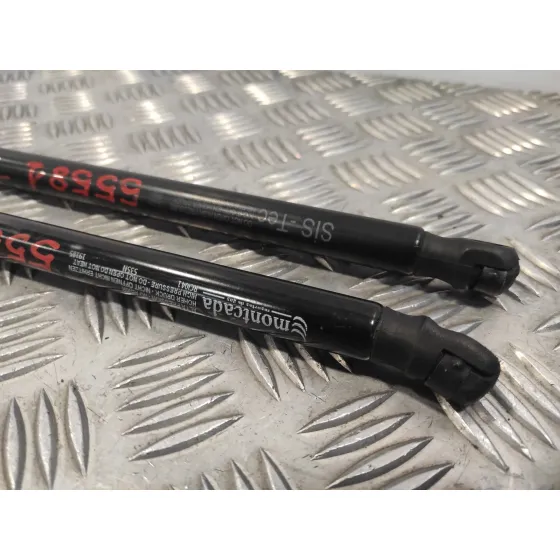 Amortiguadores Maletero / Porton para Citroën C4 Picasso