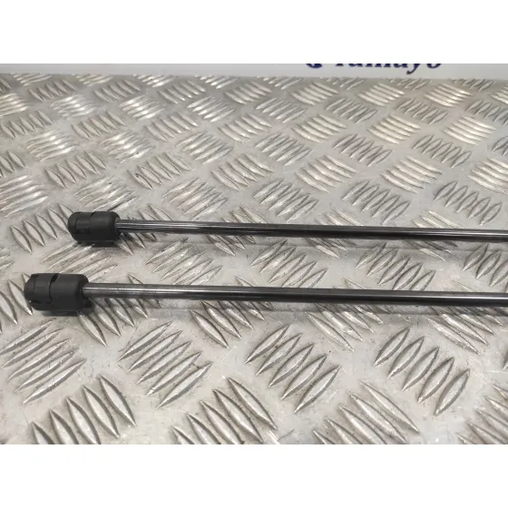 Amortiguadores Maletero / Porton para Citroën C4 Picasso