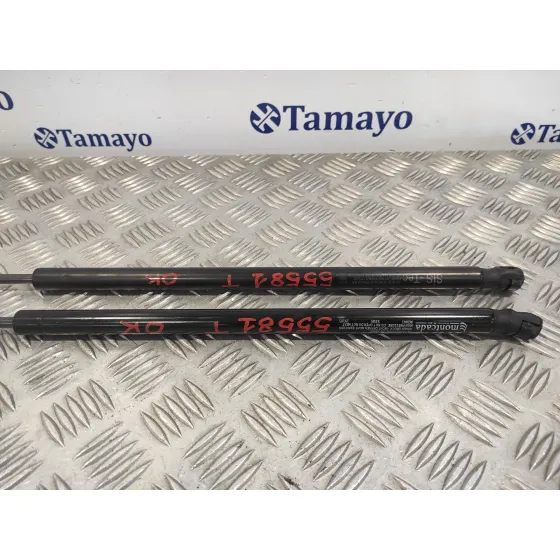 Amortiguadores Maletero / Porton para Citroën C4 Picasso